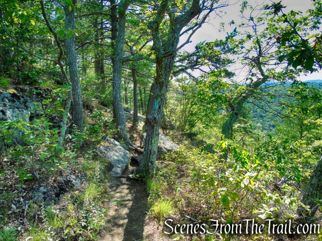 Pine Knob Loop Trail