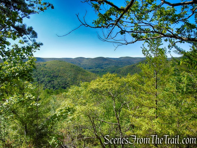 Pine Knob Loop Trail