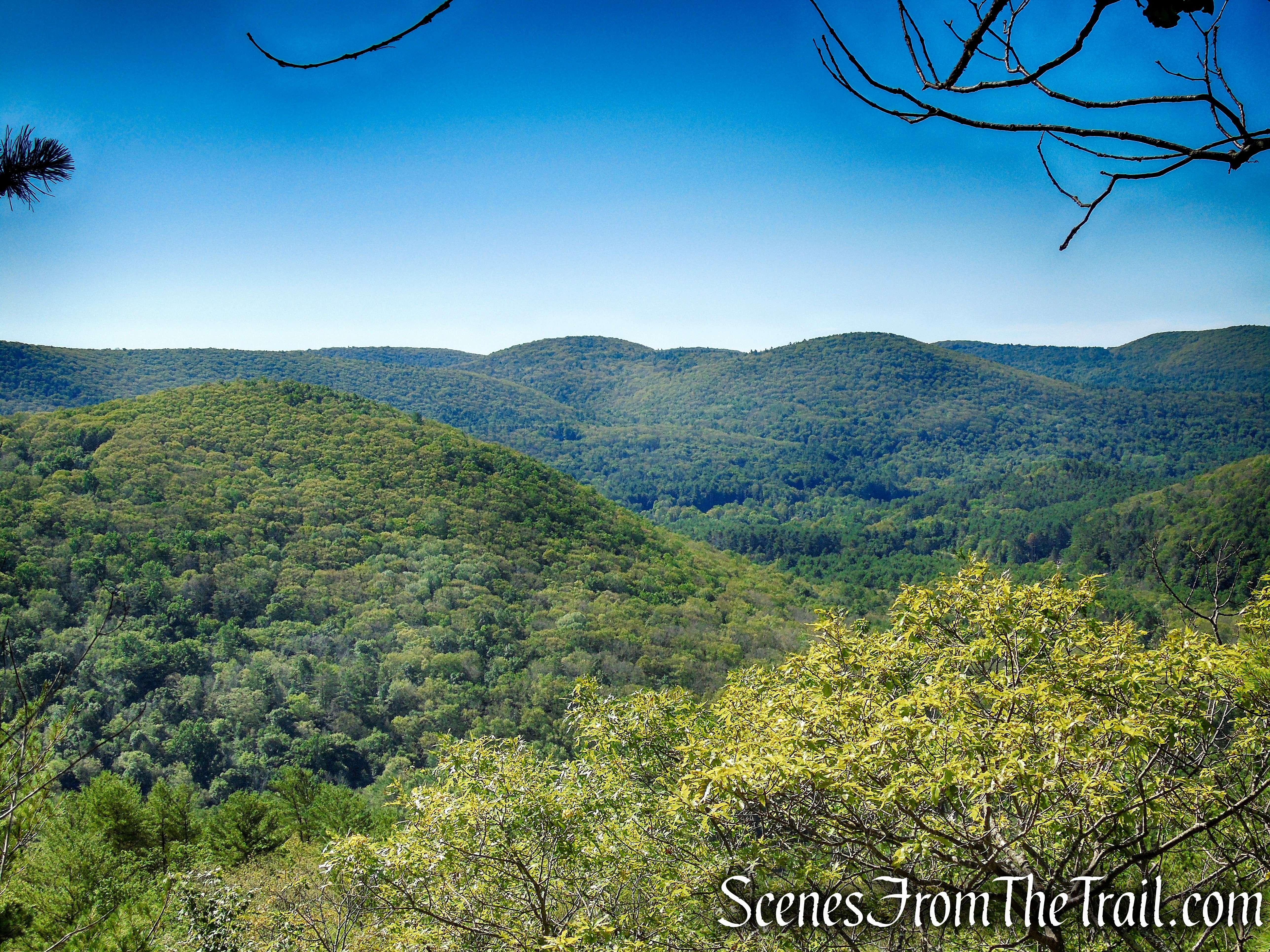Pine Knob Loop Trail