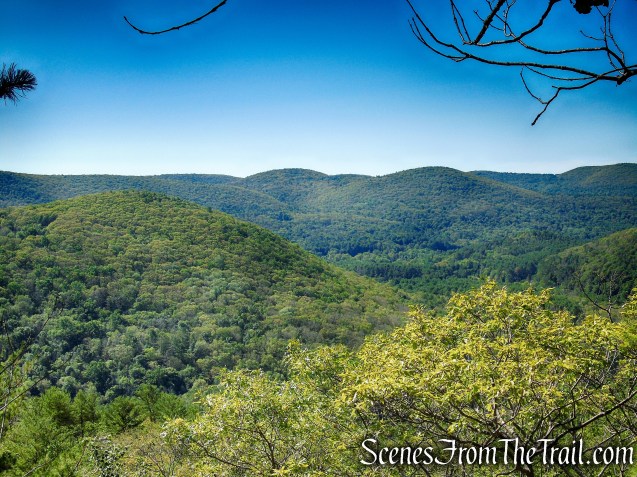 Pine Knob Loop Trail
