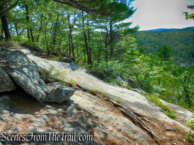 Pine Knob Loop Trail