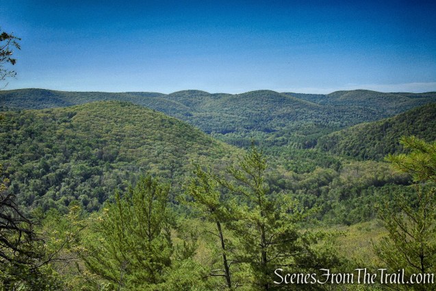 First viewpoint - Pine Knob Loop Trail