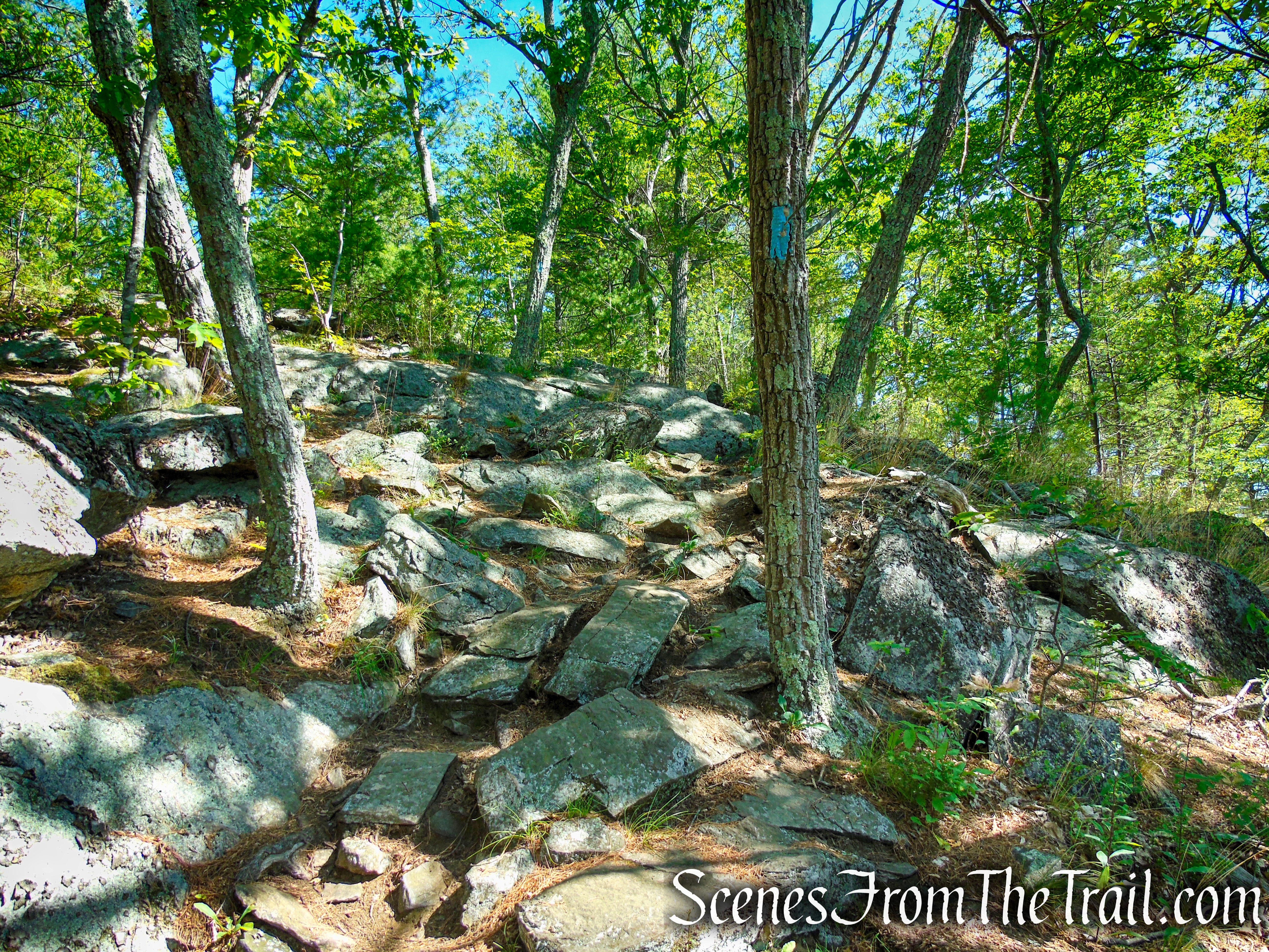 Pine Knob Loop Trail