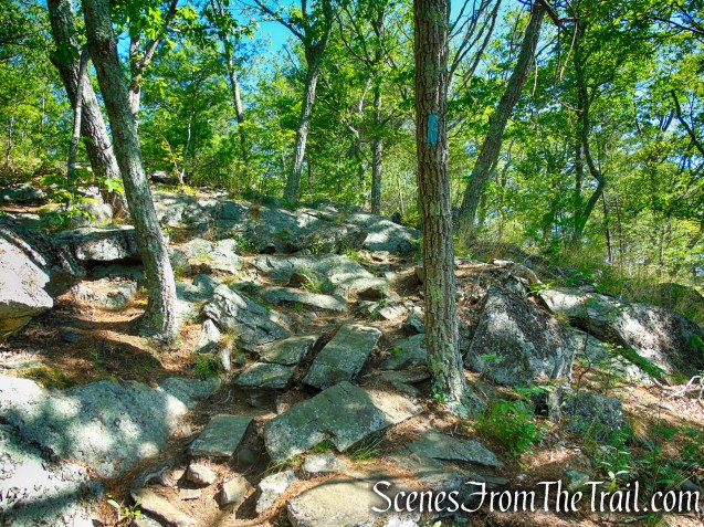 Pine Knob Loop Trail