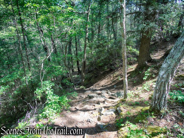Pine Knob Loop Trail