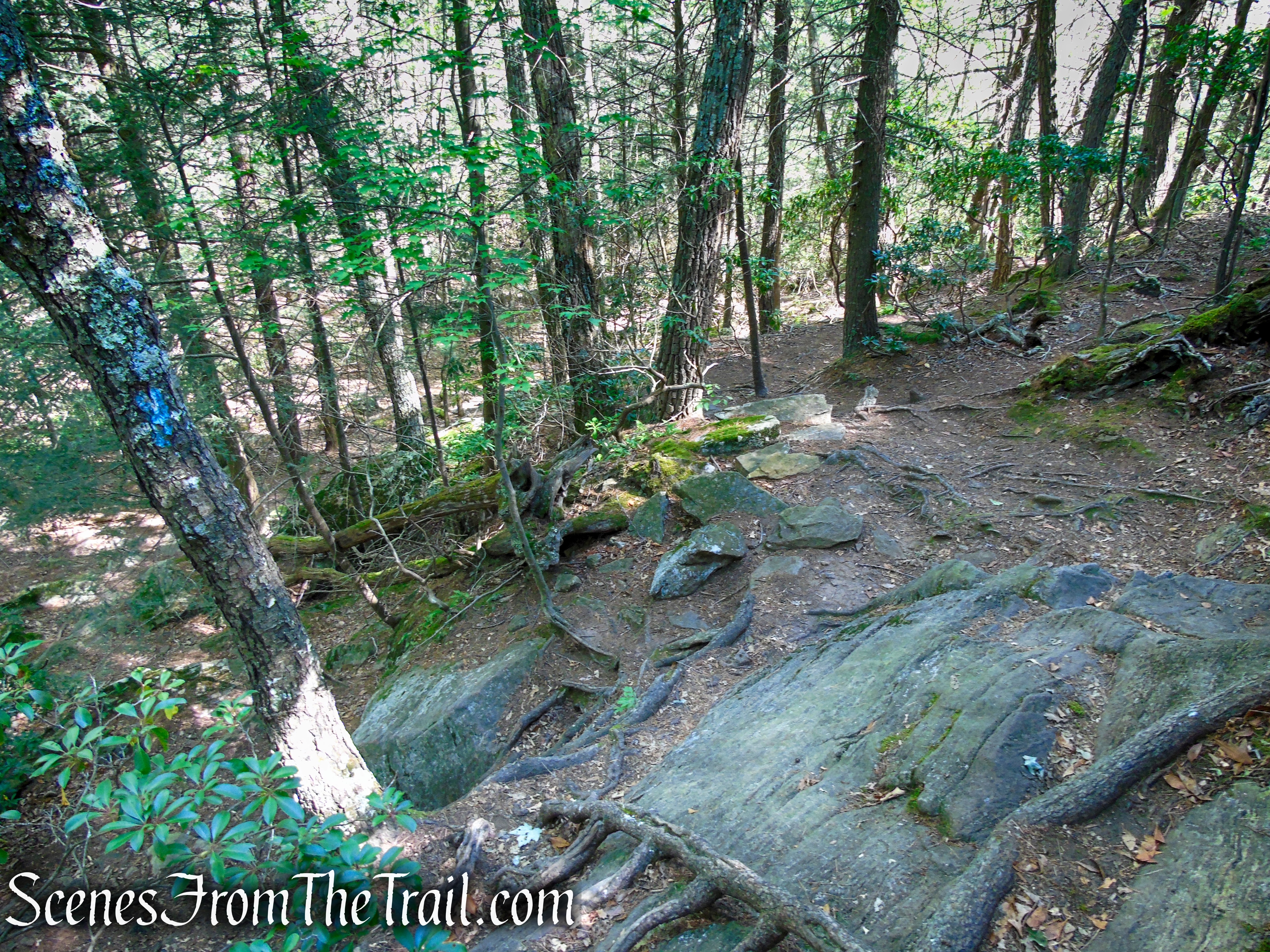 Pine Knob Loop Trail