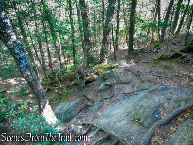 Pine Knob Loop Trail