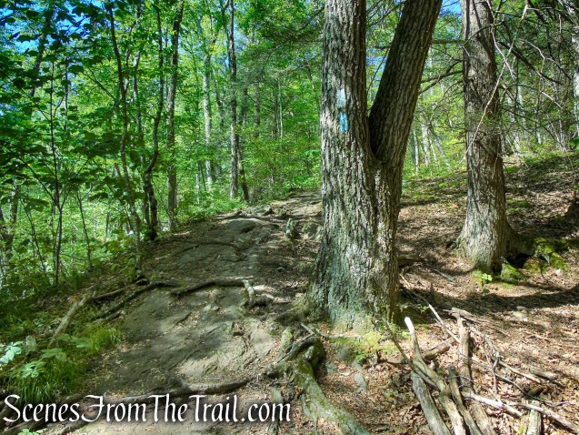 Pine Knob Loop Trail/AT