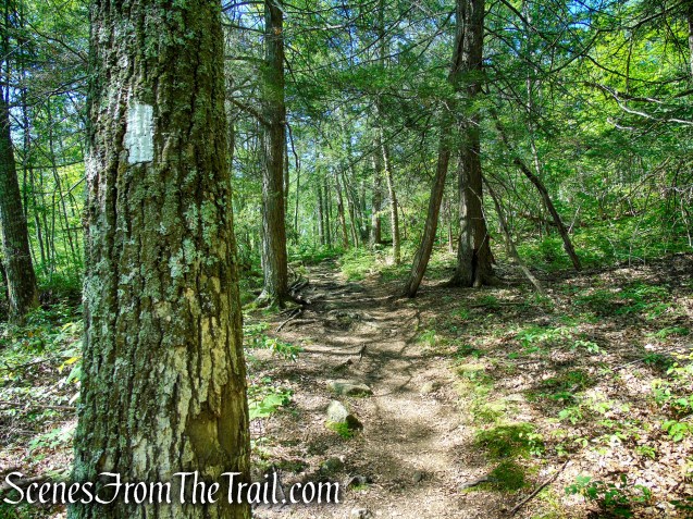 Pine Knob Loop Trail/AT