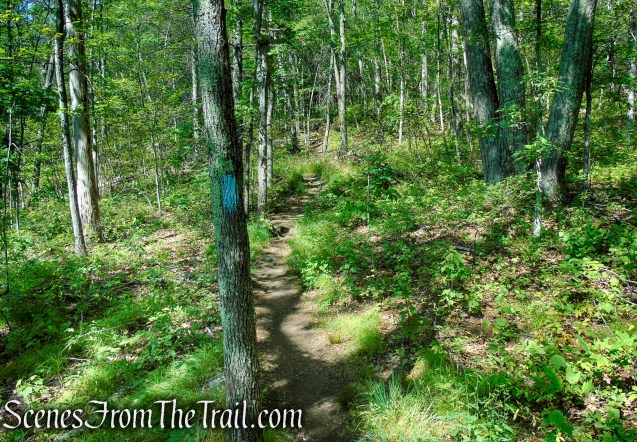 Pine Knob Loop Trail/AT