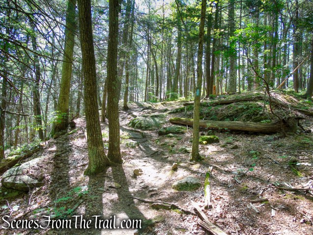 Pine Knob Loop Trail/AT