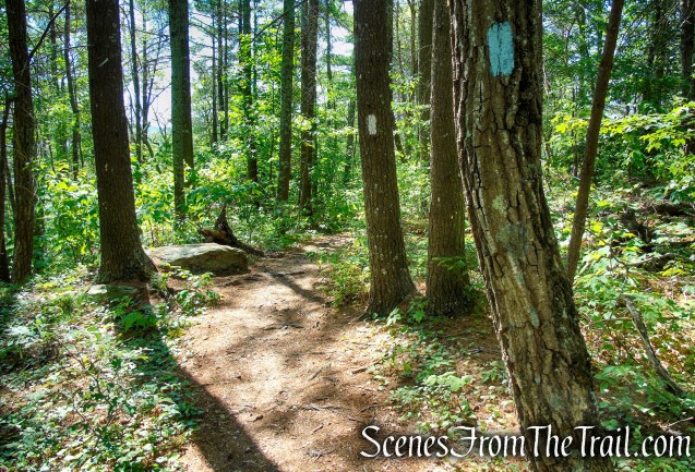 Pine Knob Loop Trail/AT