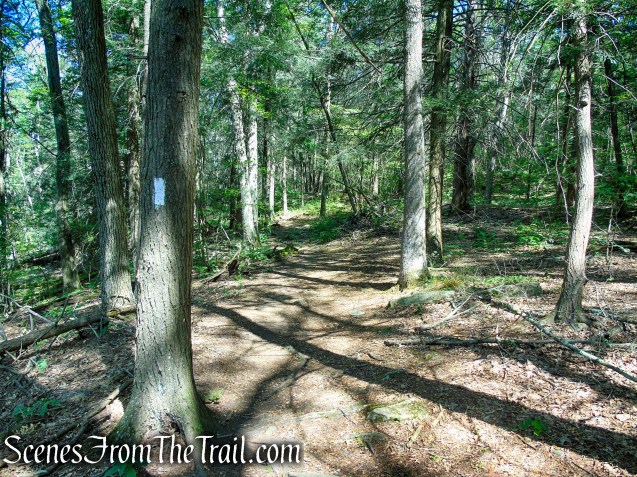 Pine Knob Loop Trail/AT