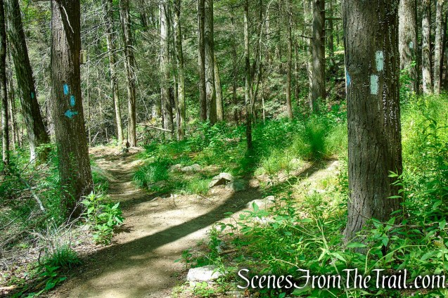 turn left on Pine Knob Loop Trail
