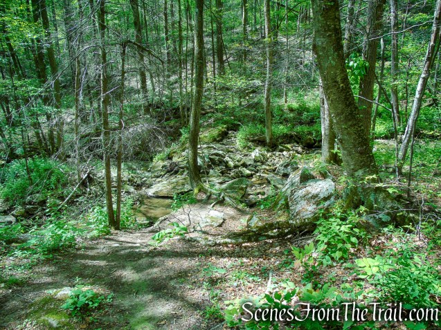 Pine Knob Loop Trail