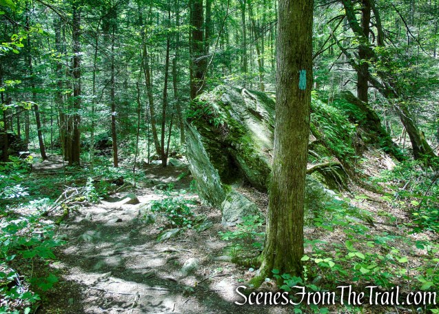 Pine Knob Loop Trail