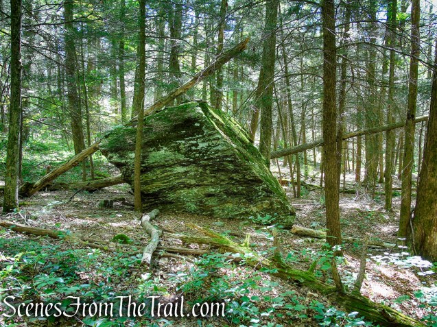Pine Knob Loop Trail