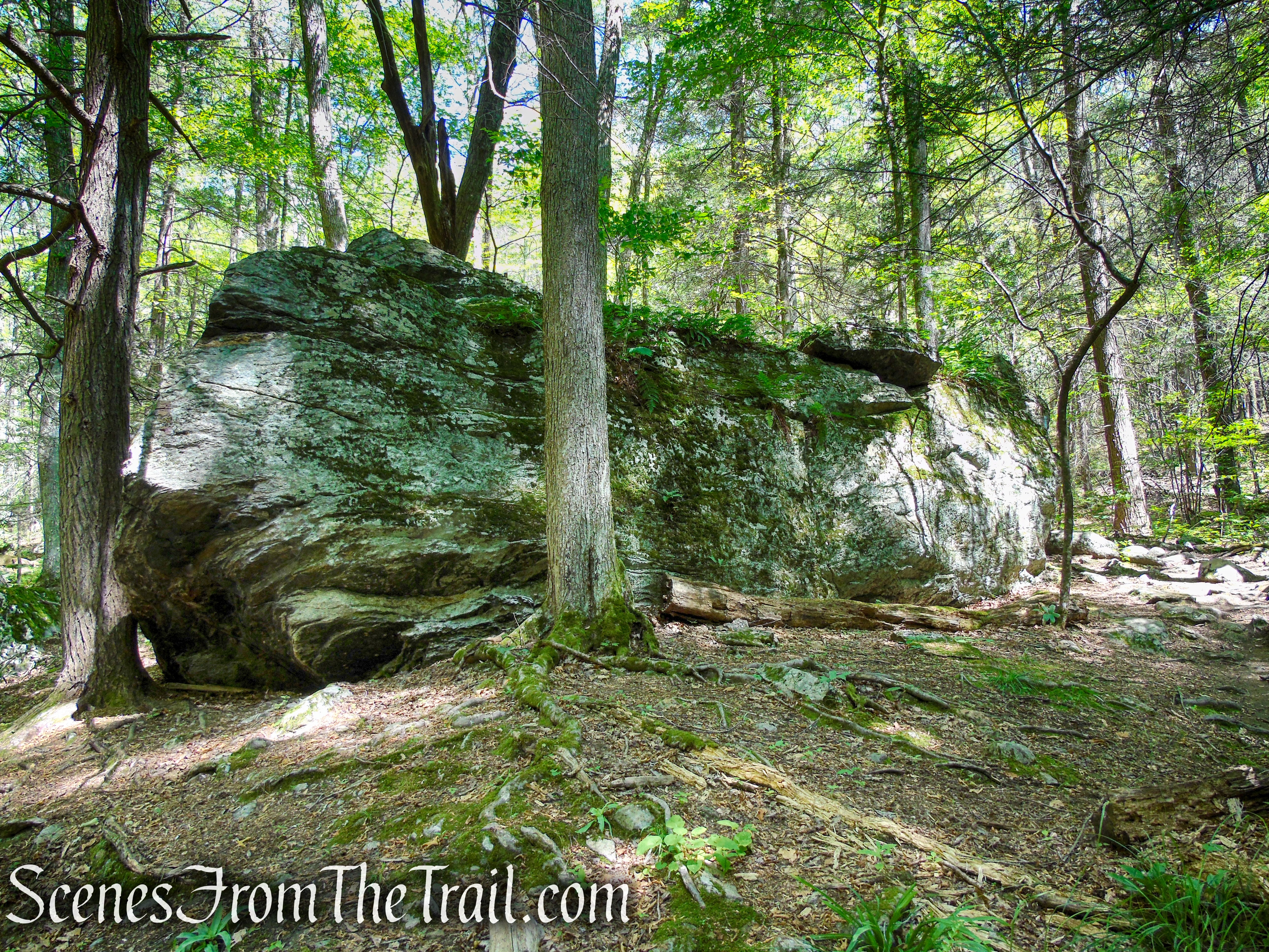 Pine Knob Loop Trail