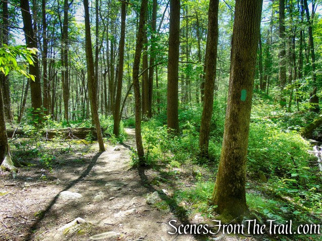 Pine Knob Loop Trail