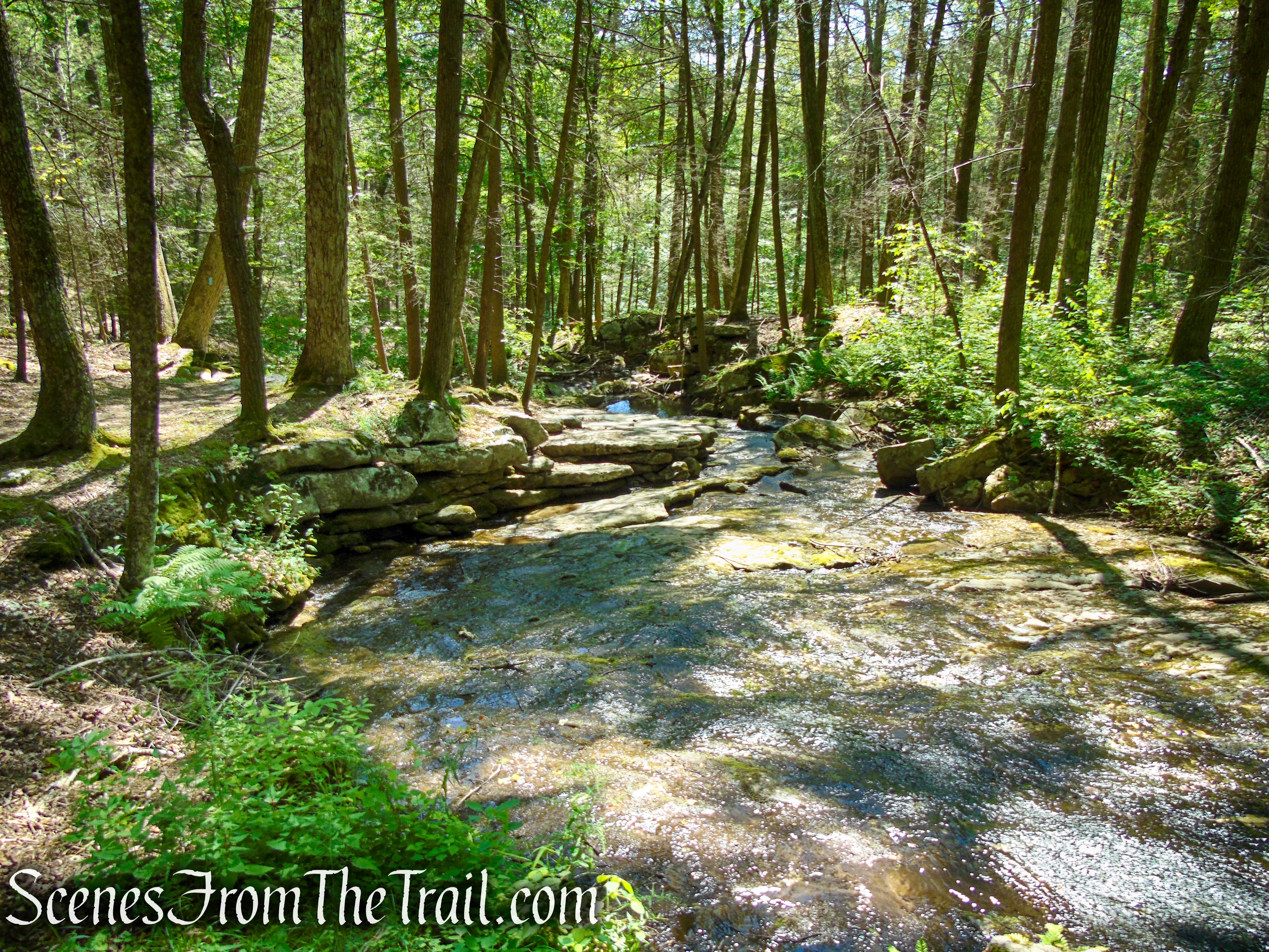 Pine Knob Loop Trail