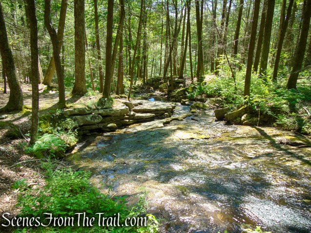 Pine Knob Loop Trail