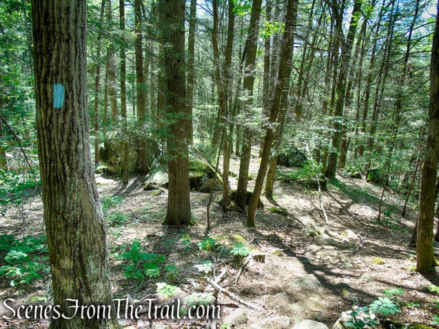 Pine Knob Loop Trail