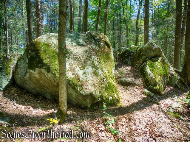 Pine Knob Loop Trail