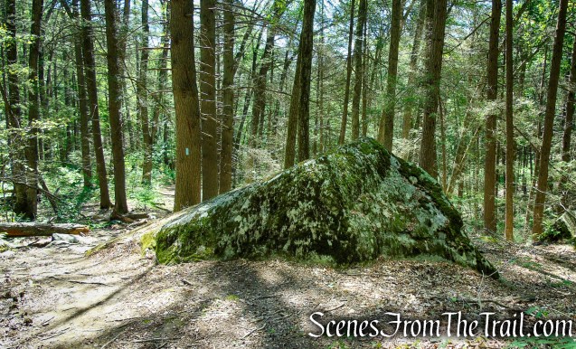 Pine Knob Loop Trail