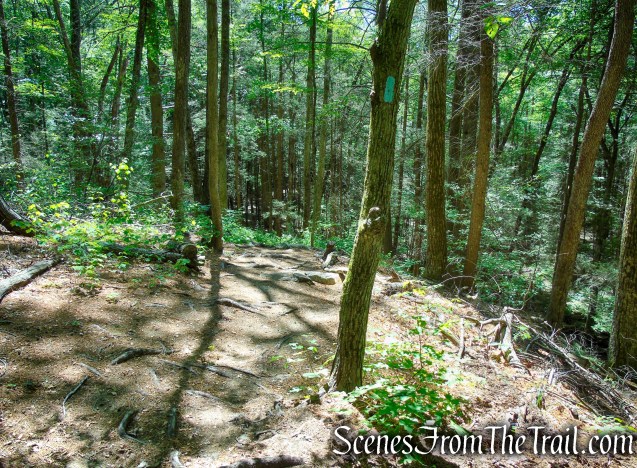 Pine Knob Loop Trail