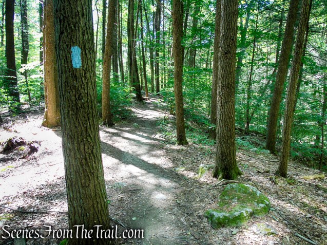 Pine Knob Loop Trail