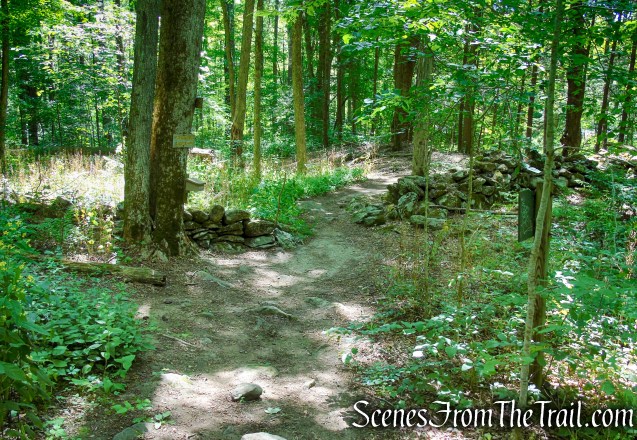Pine Knob Loop Trail