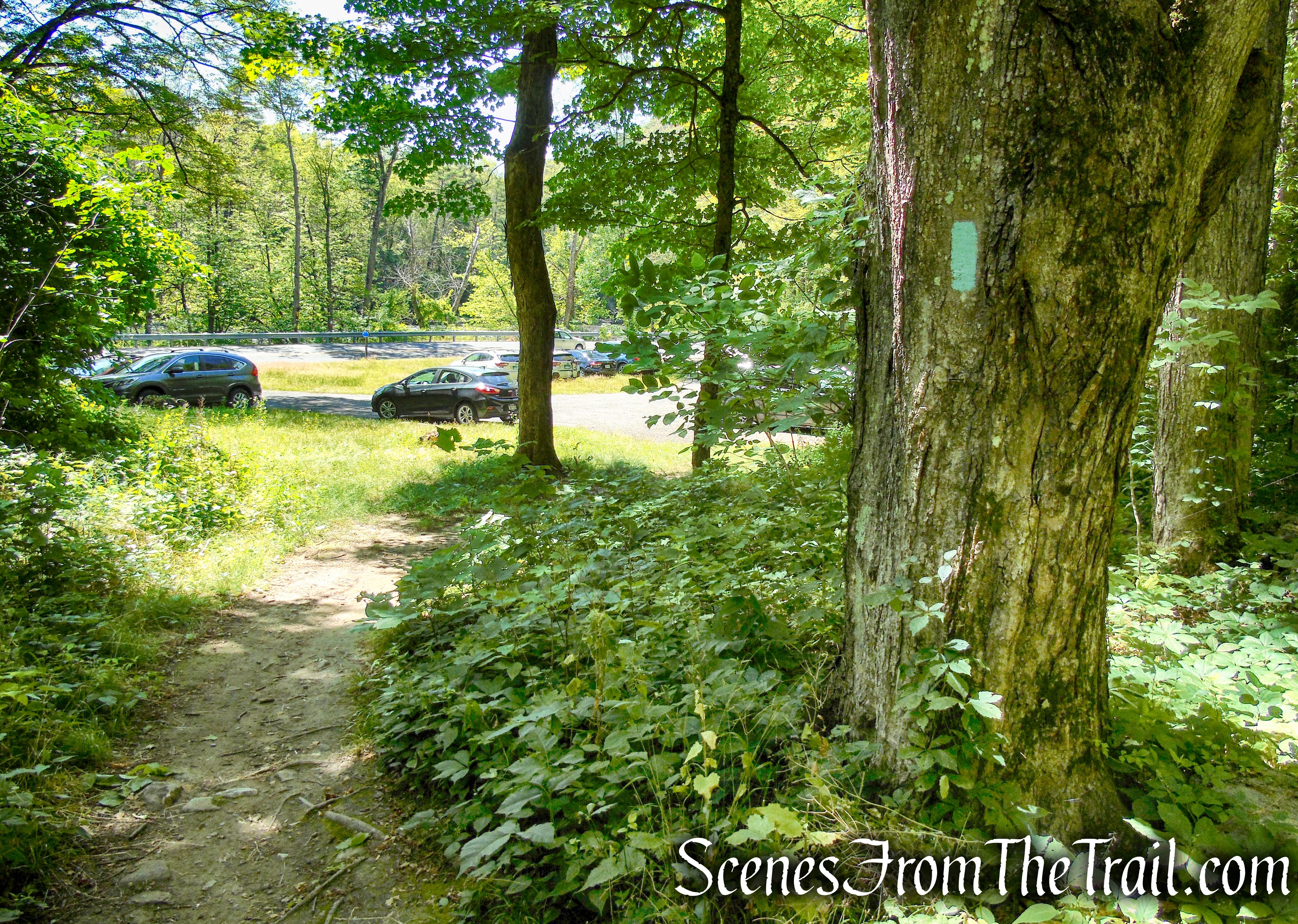 Pine Knob Loop Trail