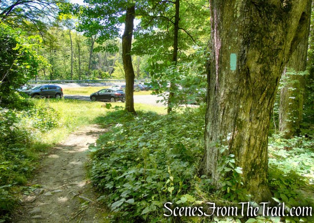 Pine Knob Loop Trail