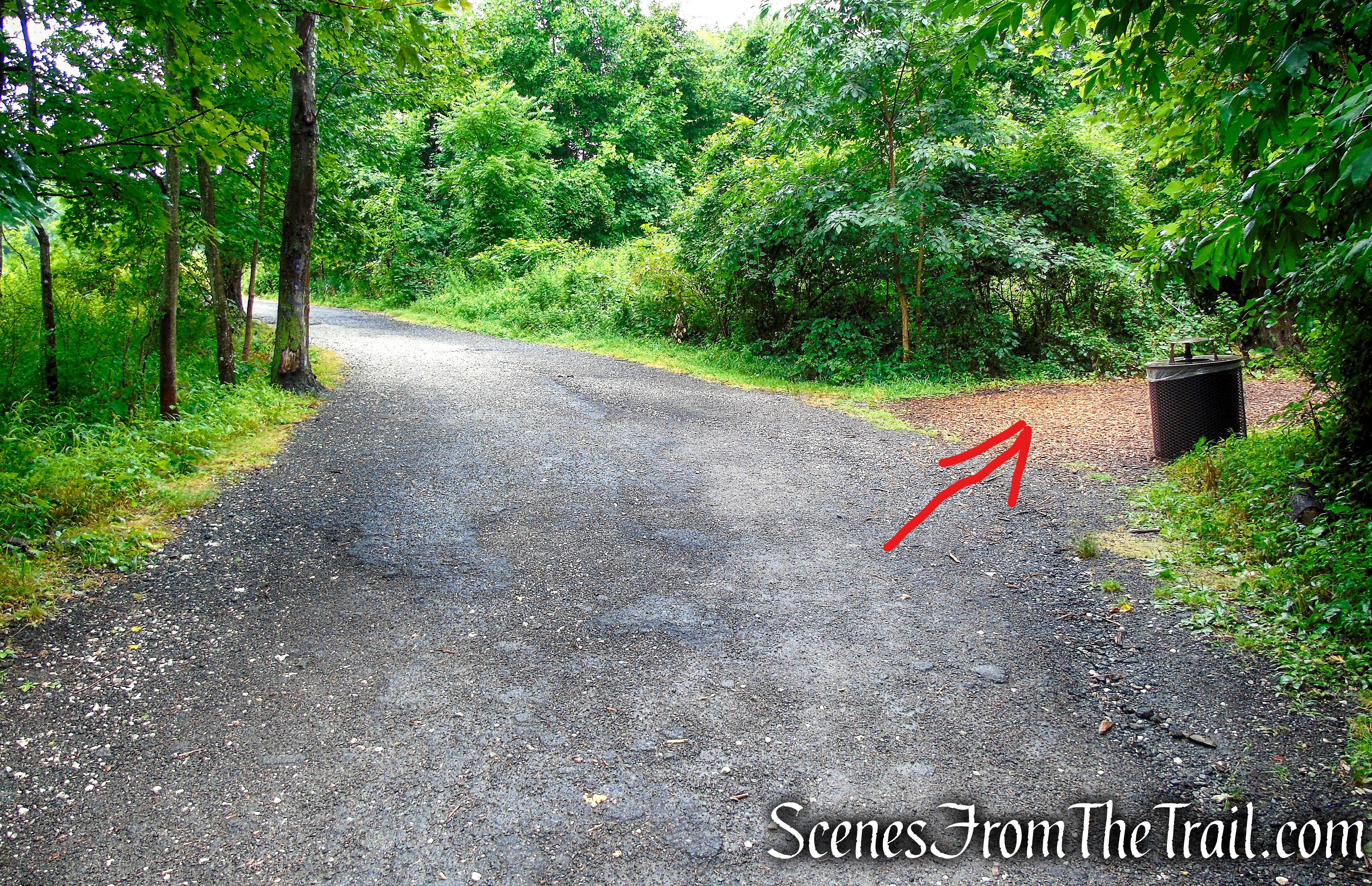 turn right on Bridle Path