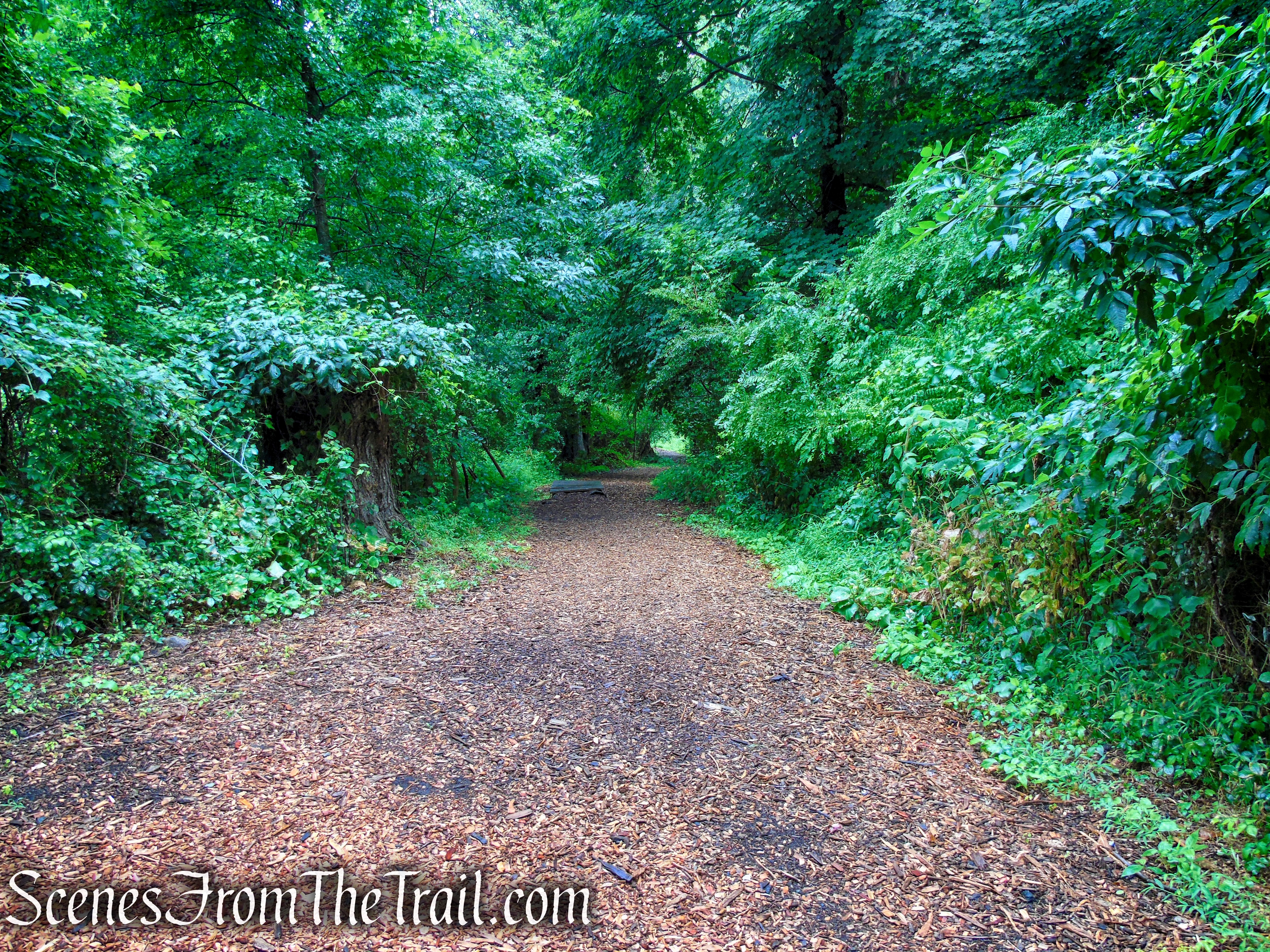 Bridle Path - Kennedy Dells County Park