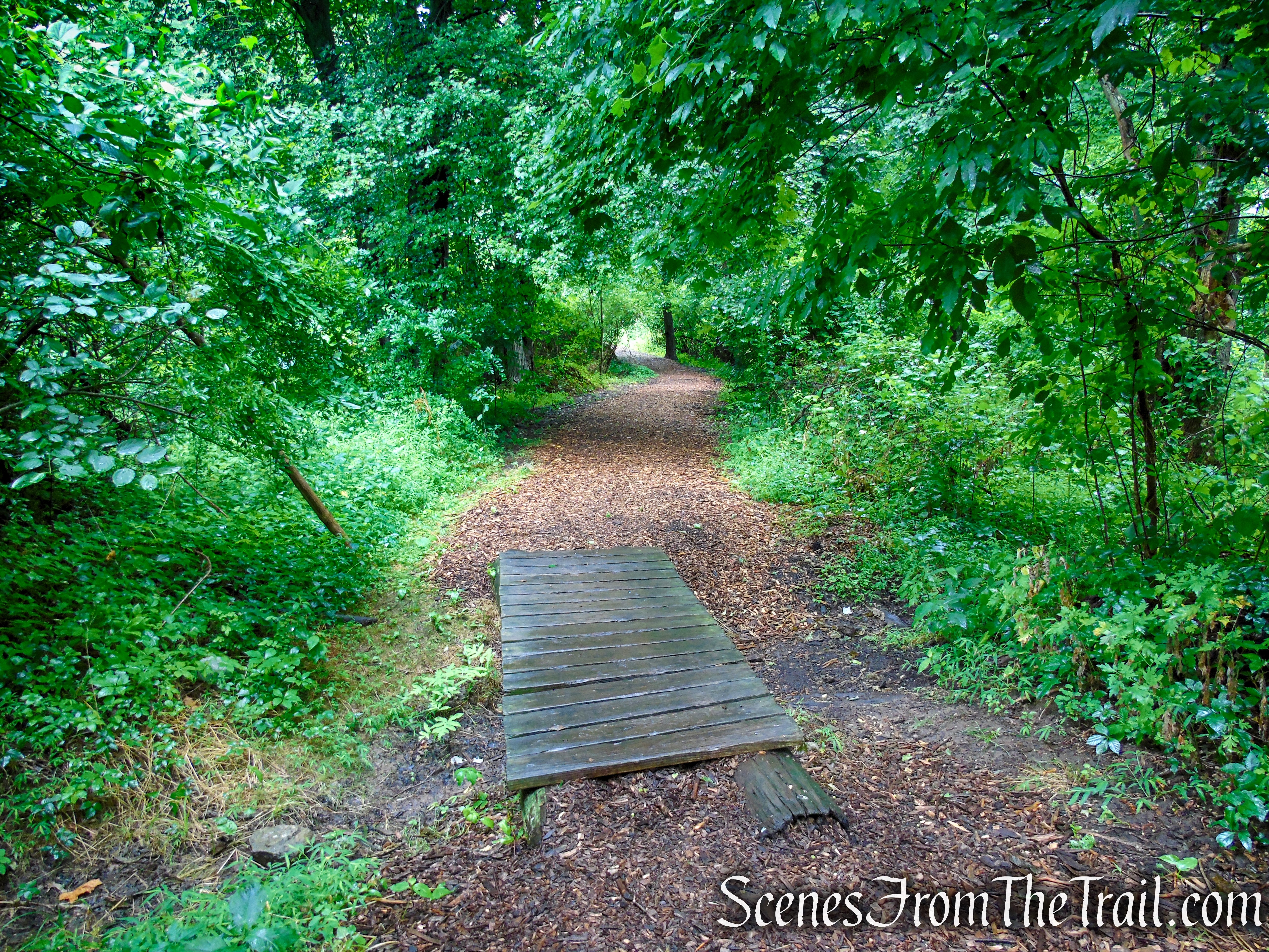 Bridle Path - Kennedy Dells County Park