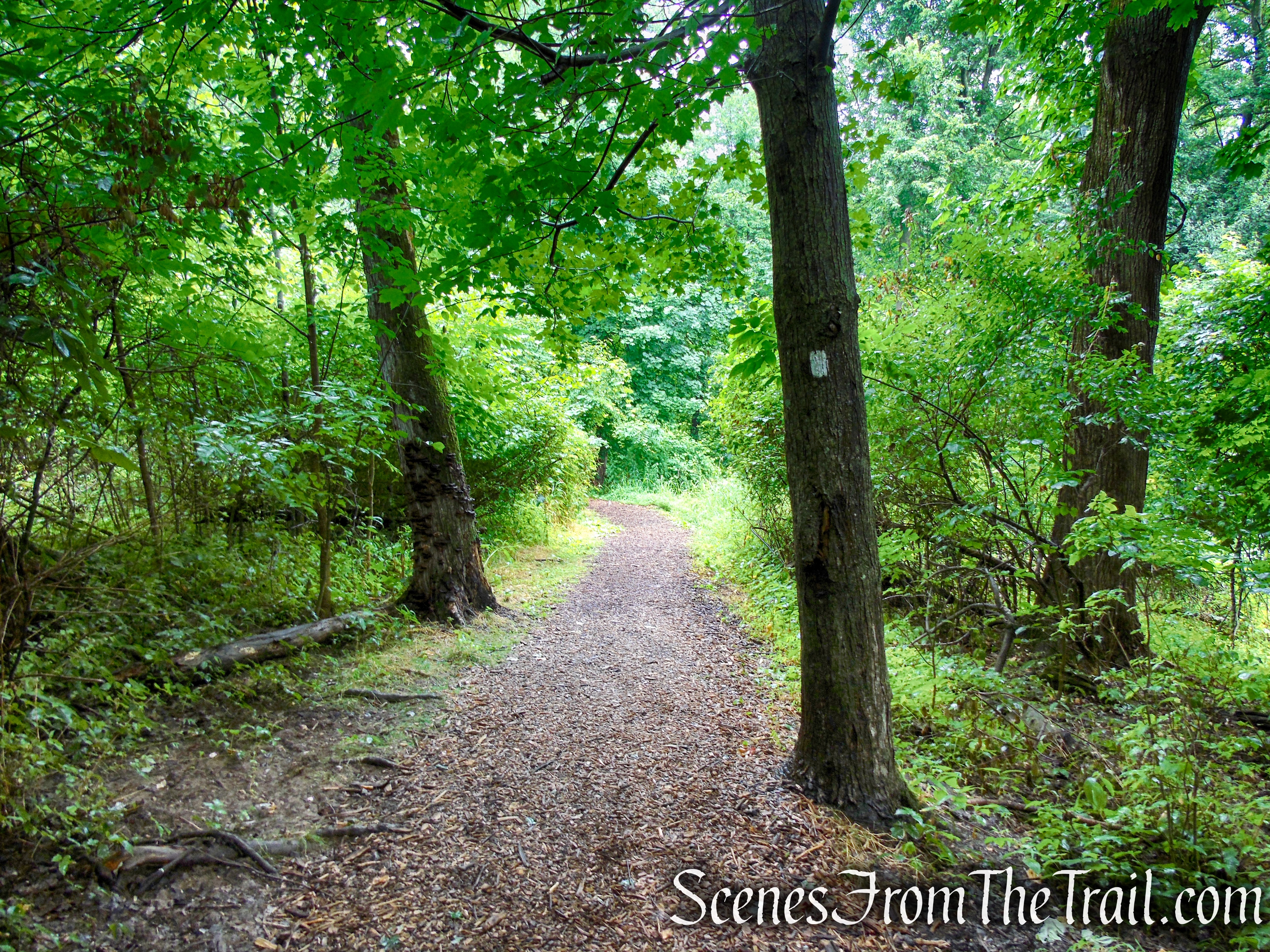 Bridle Path - Kennedy Dells County Park