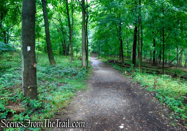 Bridle Path - Kennedy Dells County Park