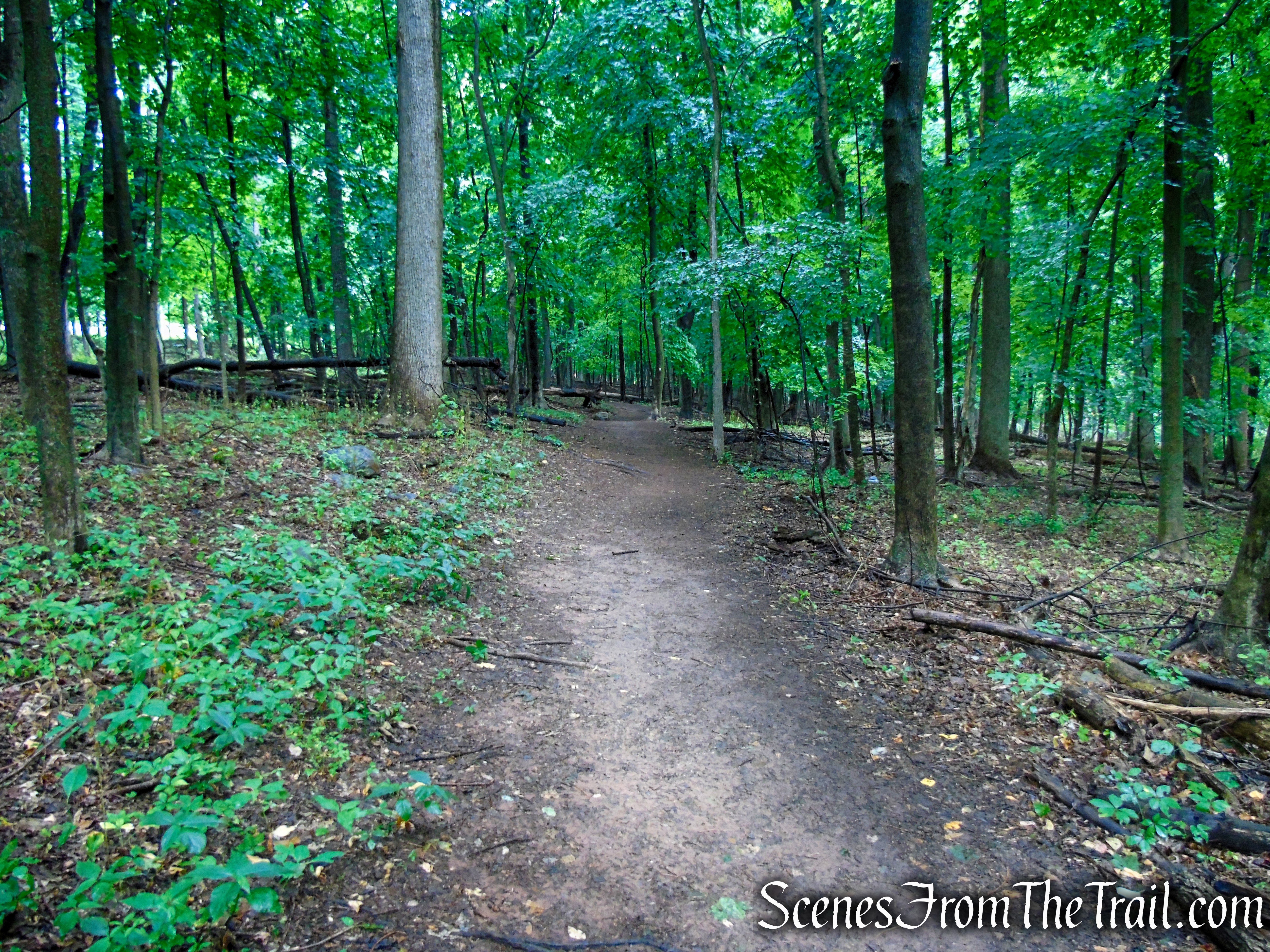 Bridle Path - Kennedy Dells County Park