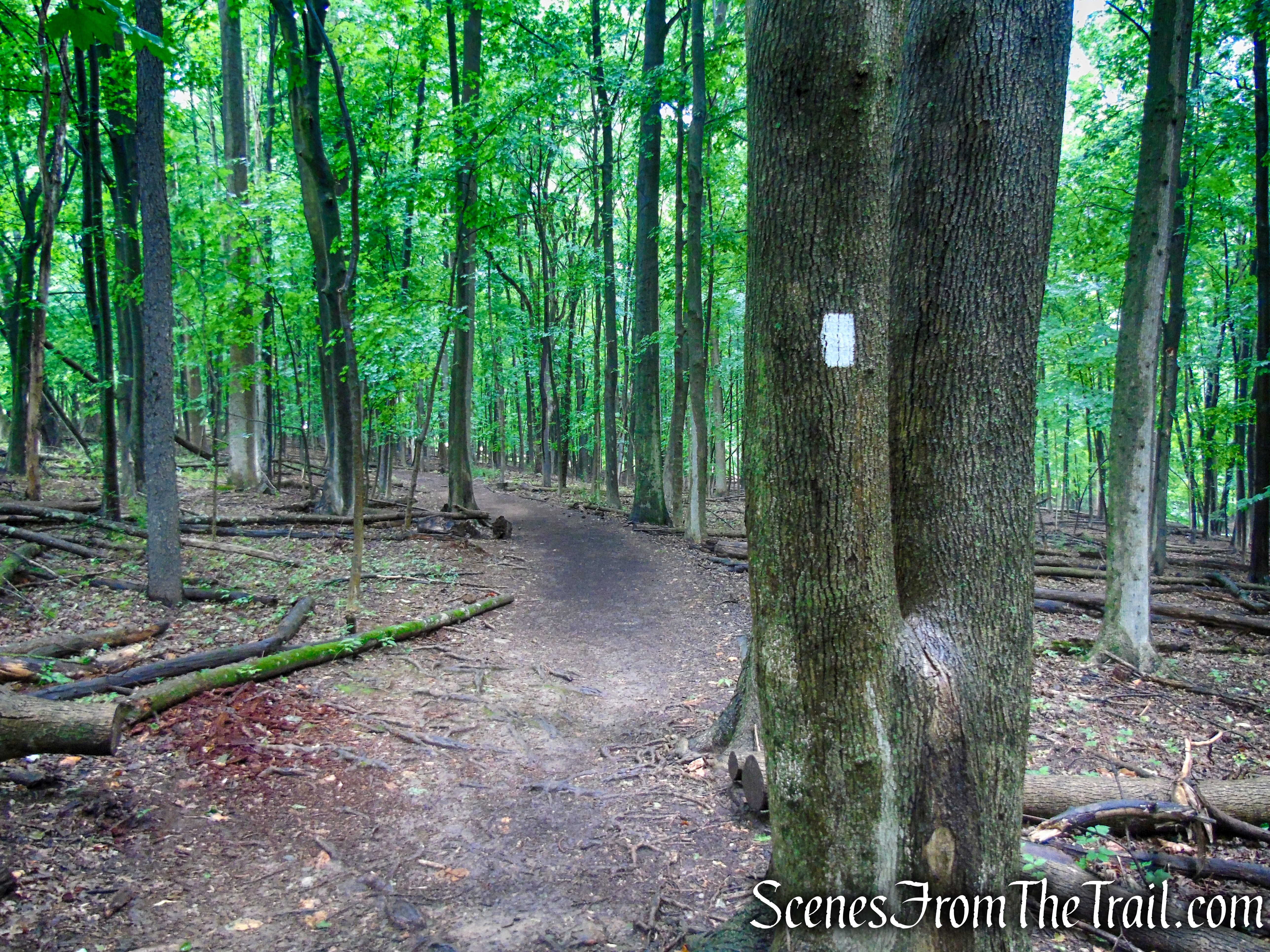 Bridle Path - Kennedy Dells County Park