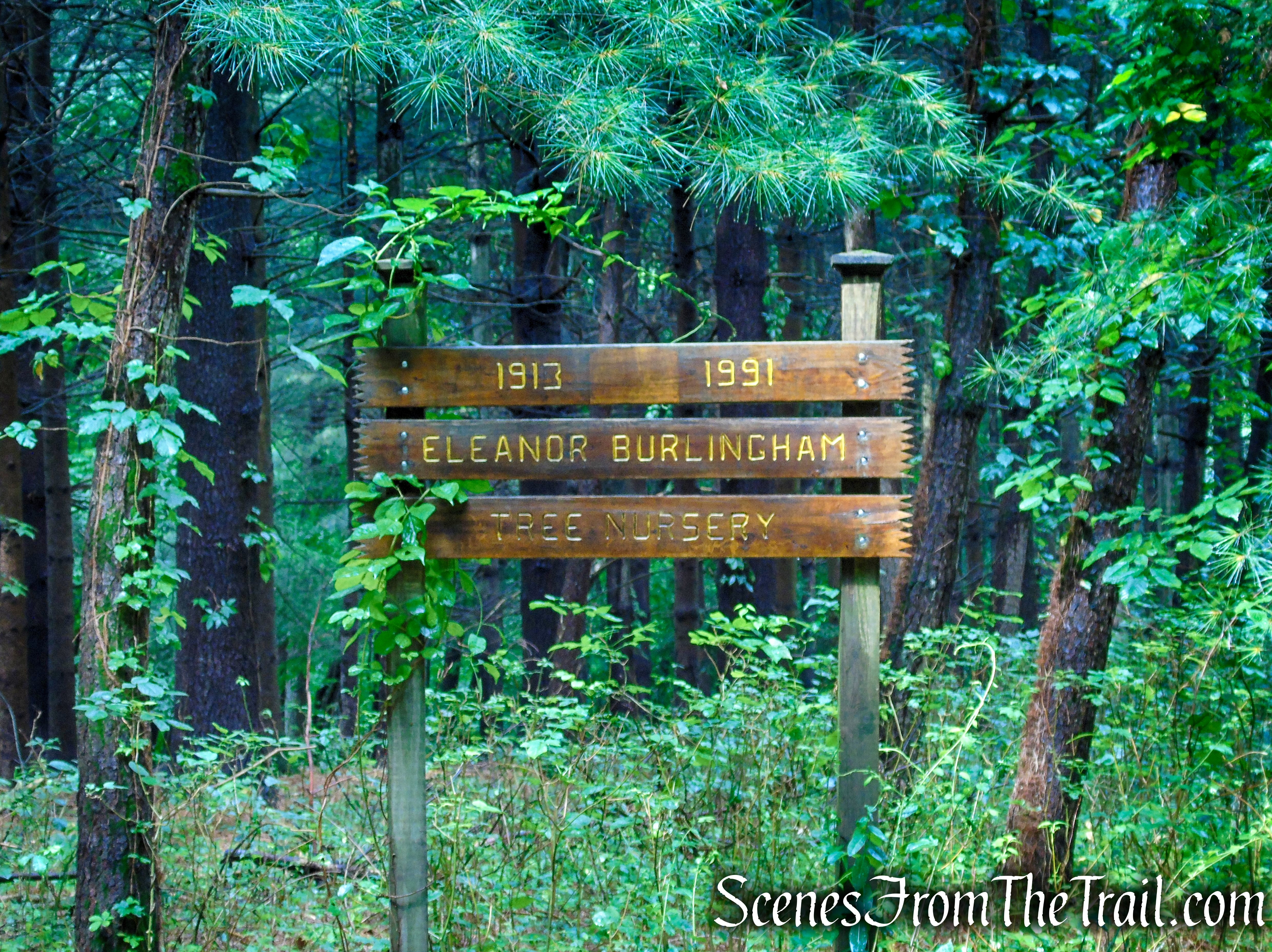 Bridle Path - Kennedy Dells County Park