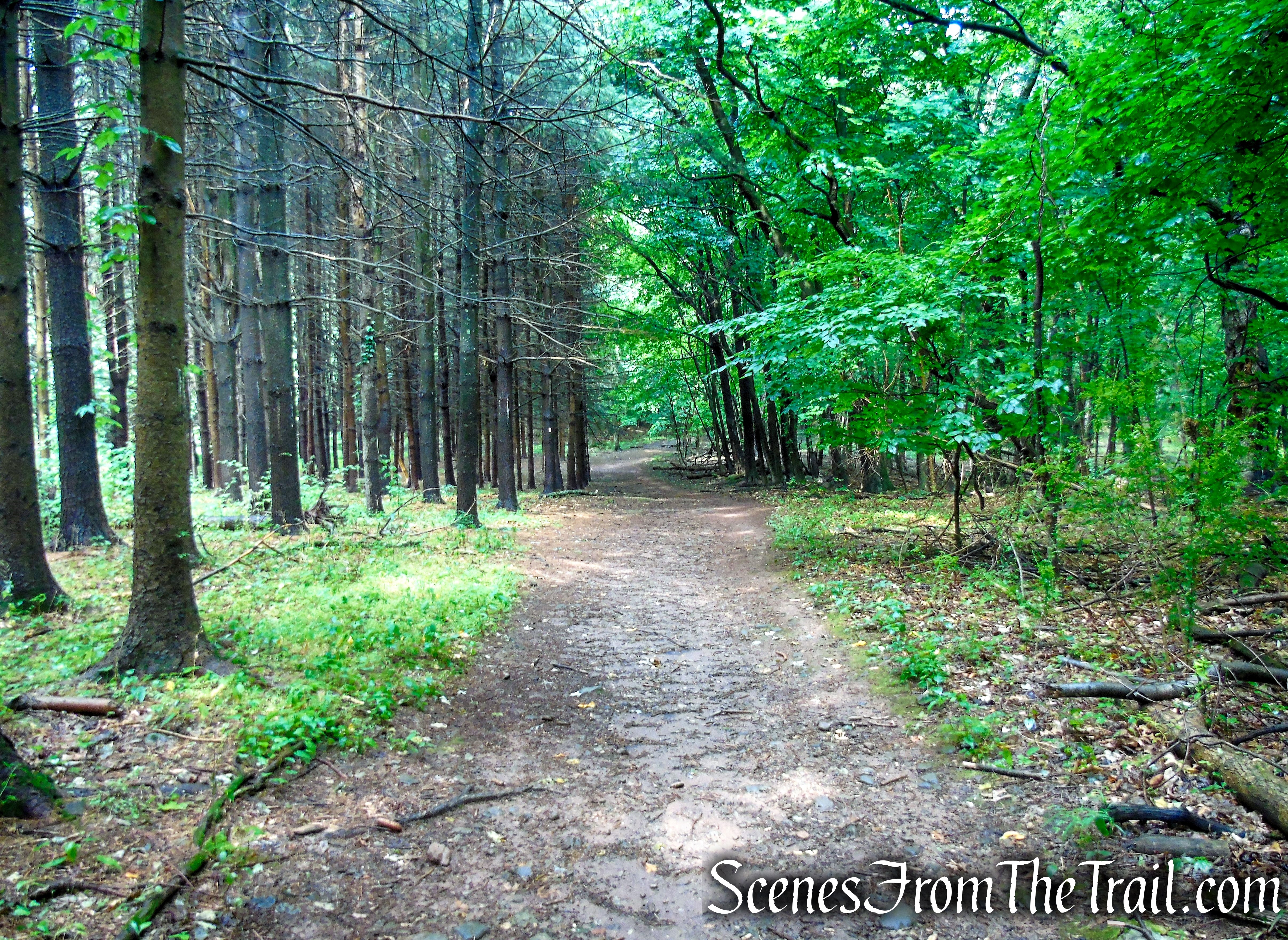 Bridle Path - Kennedy Dells County Park