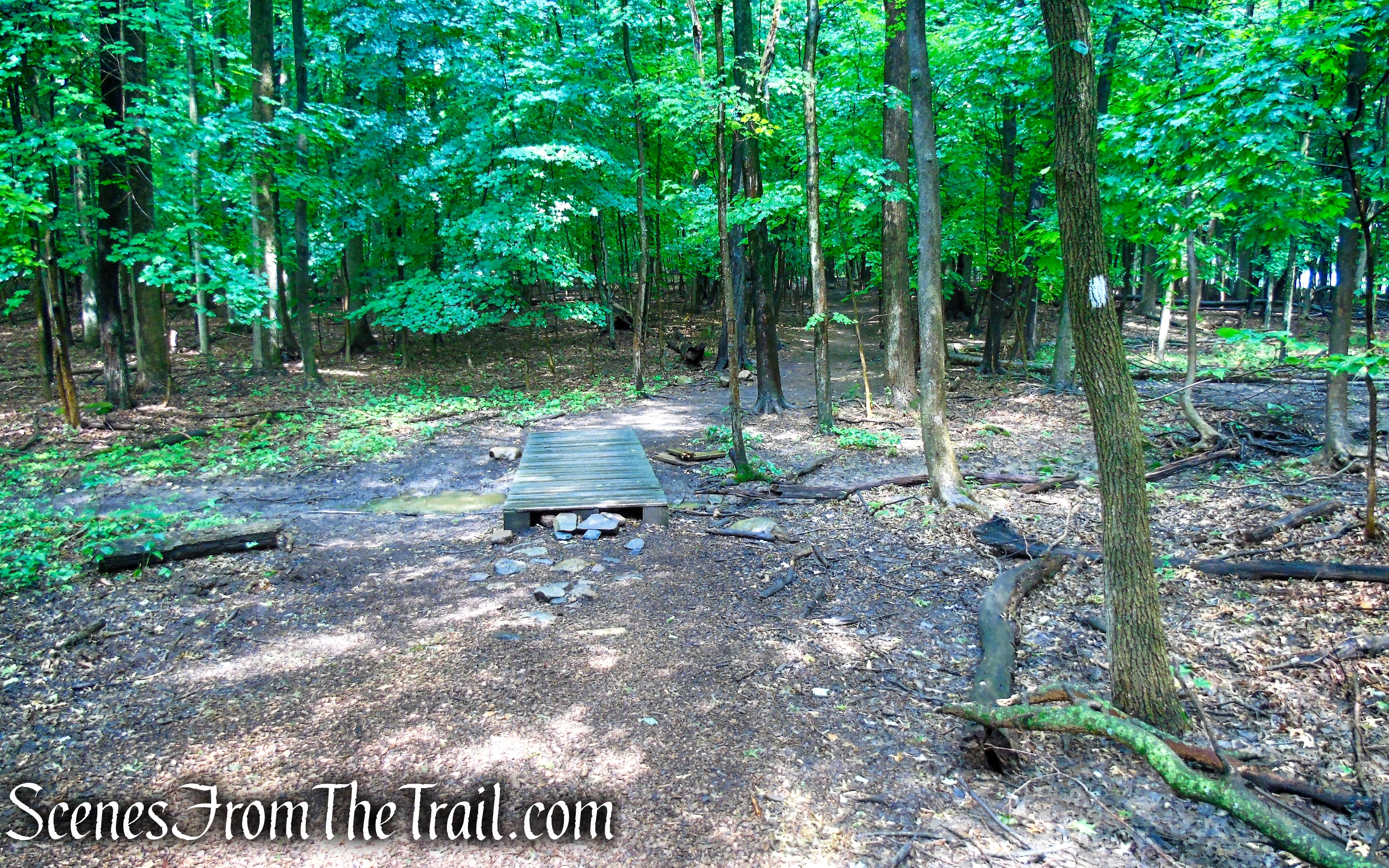 Bridle Path - Kennedy Dells County Park