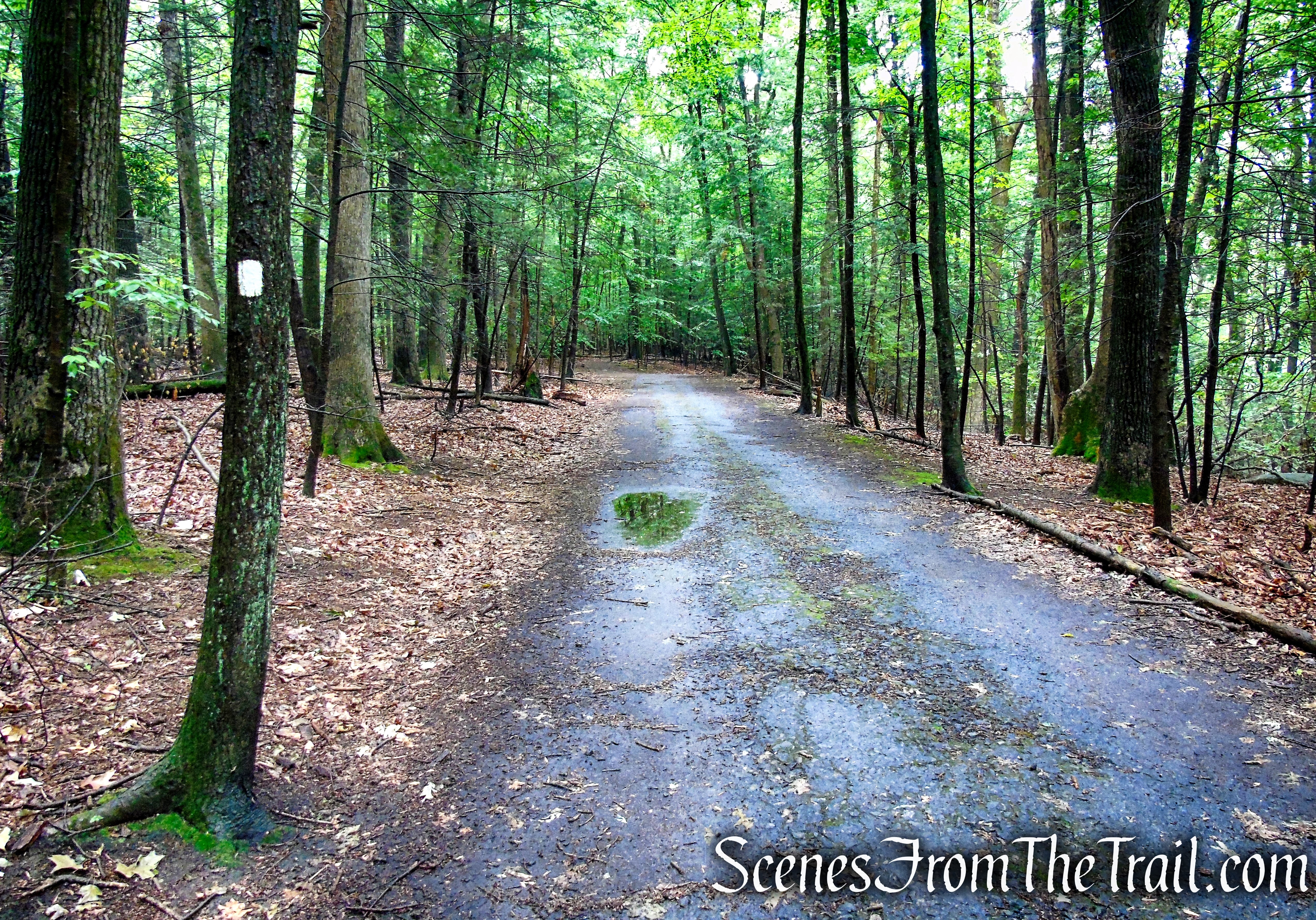Bridle Path - Kennedy Dells County Park