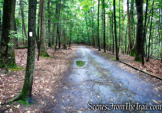Bridle Path - Kennedy Dells County Park