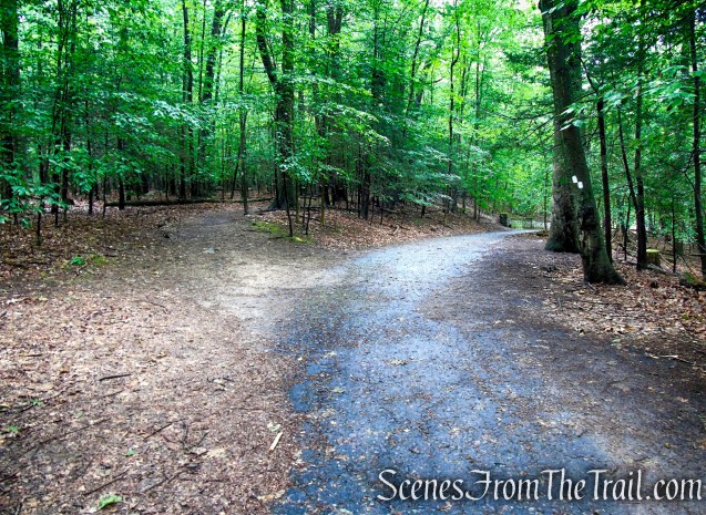 veer right to remain on paved road