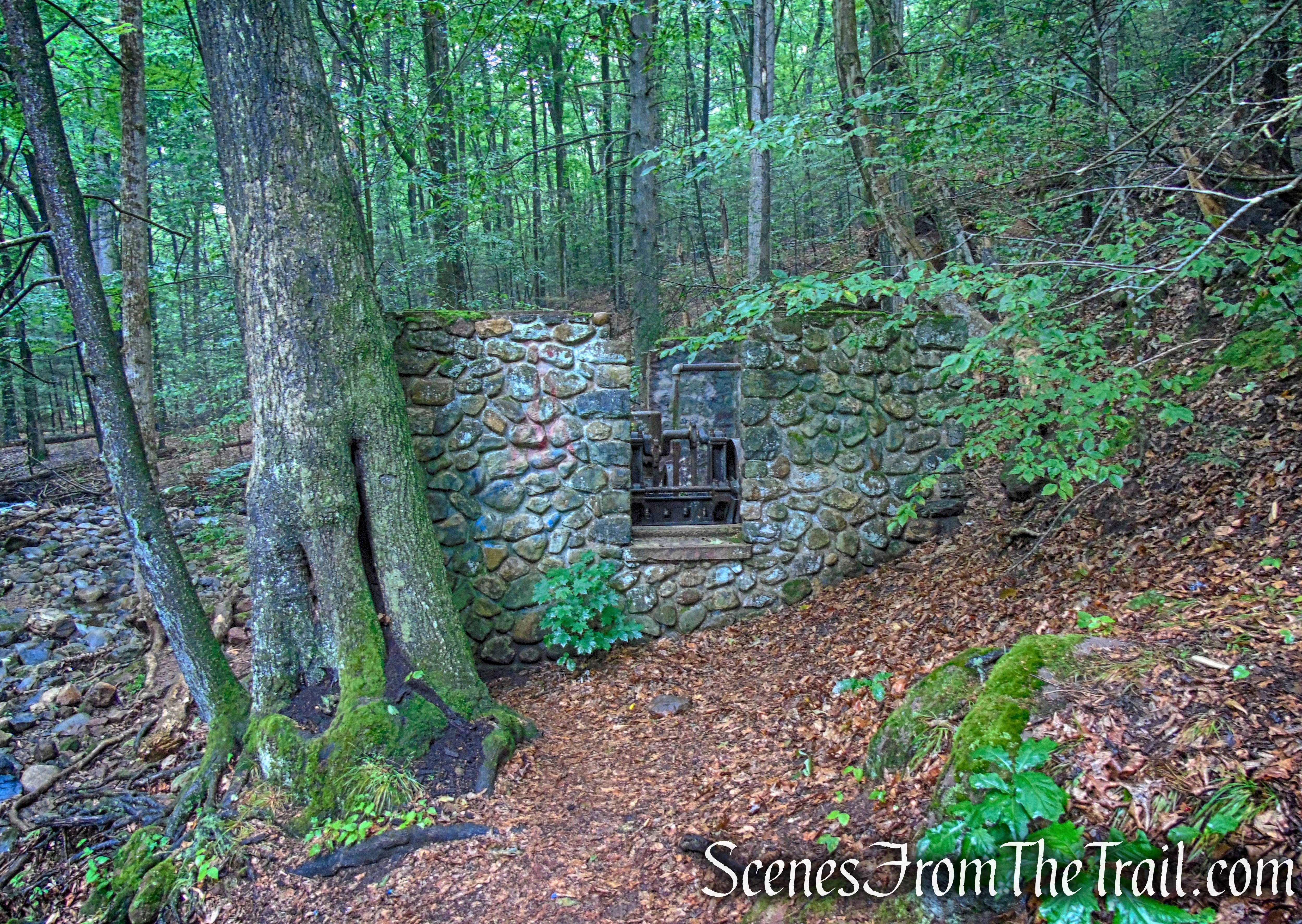 Pump House ruins - Kennedy Dells County Park