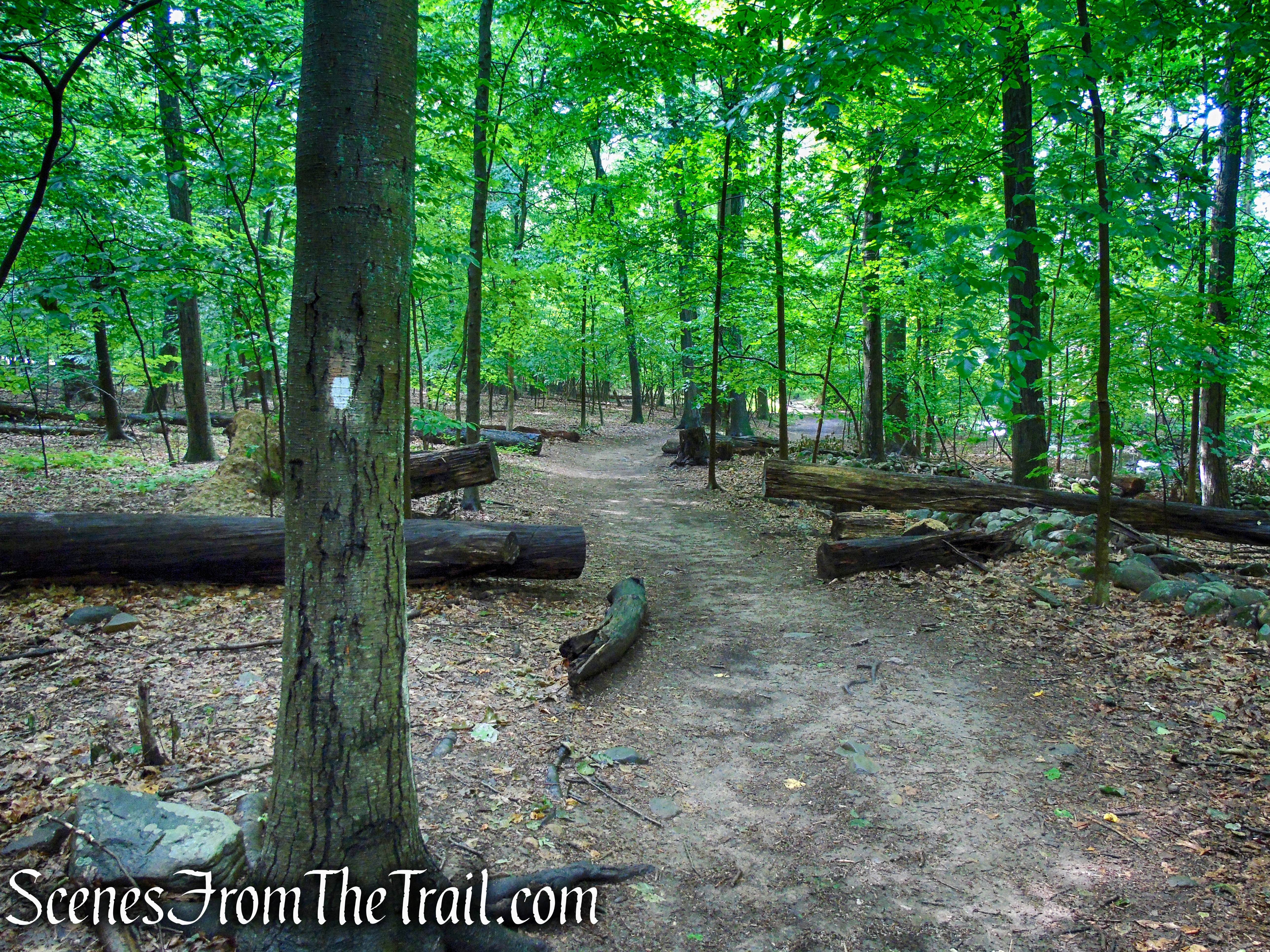 Bridle Path - Kennedy Dells County Park