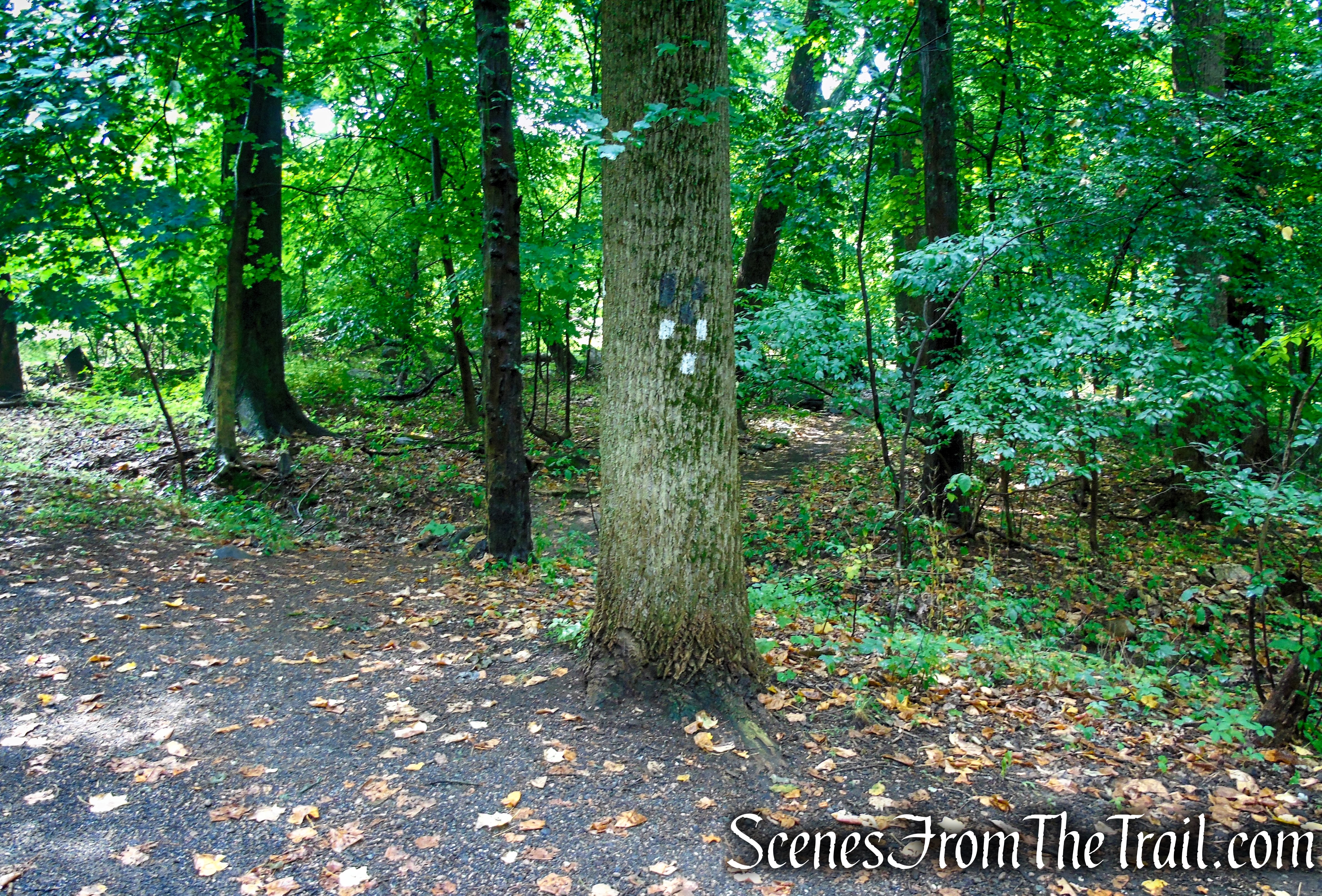 terminus of Bridle Path - Kennedy Dells County Park