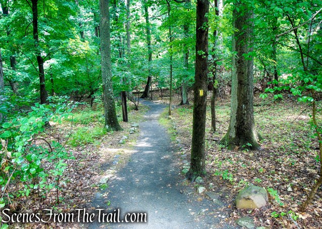 Fitness Trail - Kennedy Dells County Park